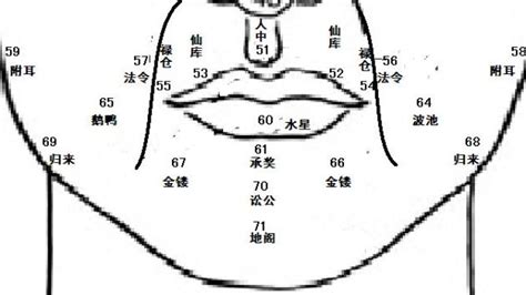 鼻翼面相|麦玲玲面相讲座之 鼻子 – 人相学